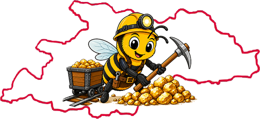 Site �n construc?ie