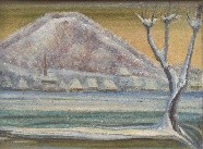 iarna la baia mare